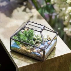 Handmade Small Jewelry Box Geometric Glass Terrarium With Cover For Airplants Succulents Moss Ring -Ncyp Garden Store product image 587489744
