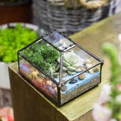 Handmade Small Jewelry Box Geometric Glass Terrarium With Cover For Airplants Succulents Moss Ring -Ncyp Garden Store product image 587489757