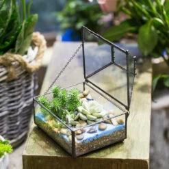 Handmade Small Jewelry Box Geometric Glass Terrarium With Cover For Airplants Succulents Moss Ring -Ncyp Garden Store product image 587489759