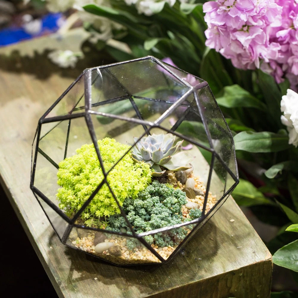 Handmade Triangular Pentagon Mix 32-Sides Clear Glass Geometric Centerpiece Terrarium For Succulents 4 Handmade Triangular Pentagon Mix 32-Sides Clear Glass Geometric Centerpiece Terrarium For Succulents - Image 2