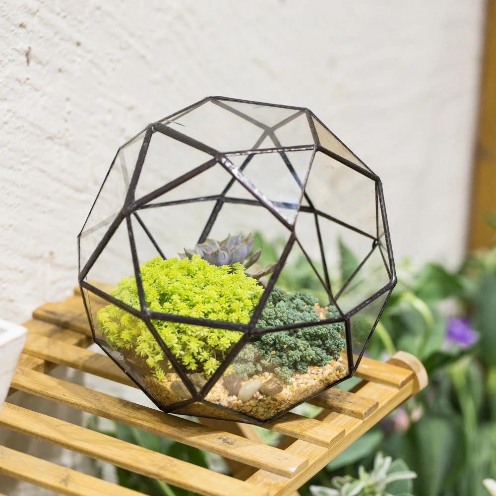 Handmade Triangular Pentagon Mix 32-Sides Clear Glass Geometric Centerpiece Terrarium For Succulents 9 Handmade Triangular Pentagon Mix 32-Sides Clear Glass Geometric Centerpiece Terrarium For Succulents - Image 7