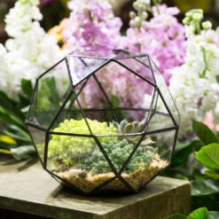 Handmade Triangular Pentagon Mix 32-Sides Clear Glass Geometric Centerpiece Terrarium For Succulents 20 Handmade Triangular Pentagon Mix 32-Sides Clear Glass Geometric Centerpiece Terrarium For Succulents -Ncyp Garden Store product image 594319591