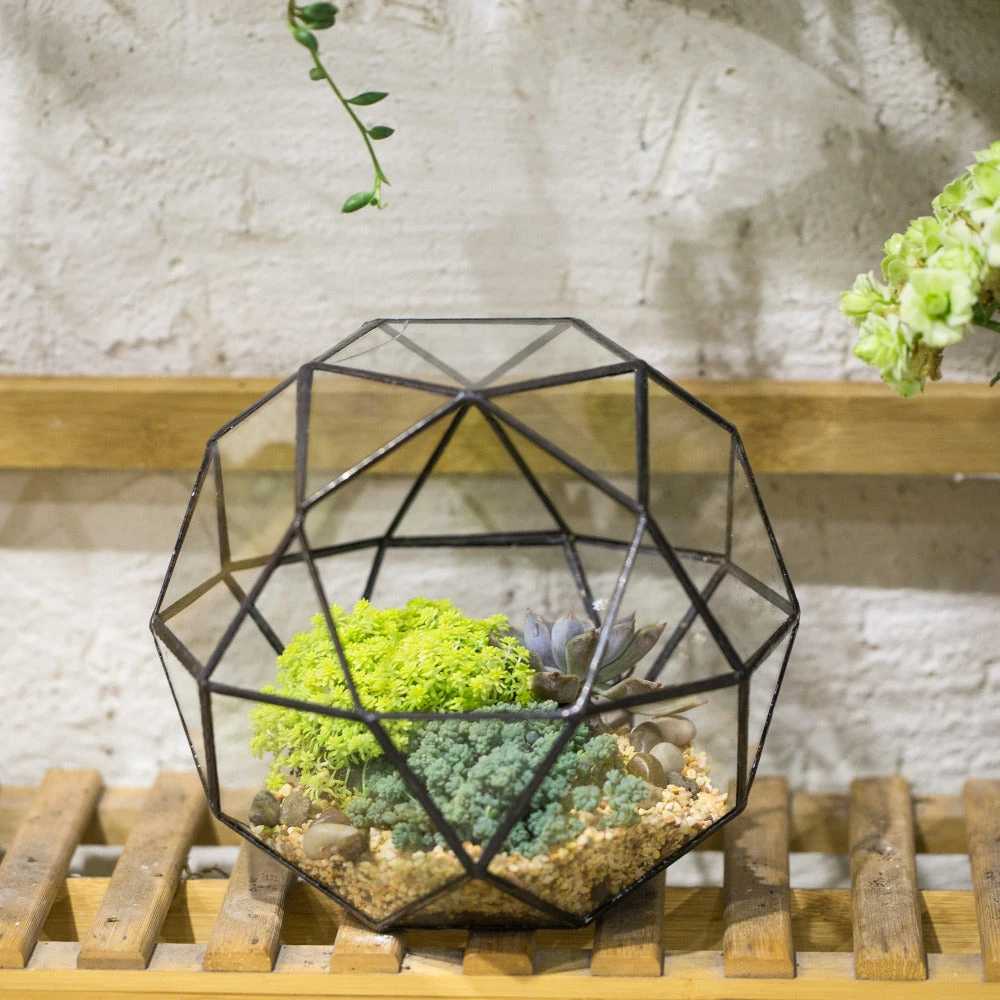 Handmade Triangular Pentagon Mix 32-Sides Clear Glass Geometric Centerpiece Terrarium For Succulents 7 Handmade Triangular Pentagon Mix 32-Sides Clear Glass Geometric Centerpiece Terrarium For Succulents - Image 5
