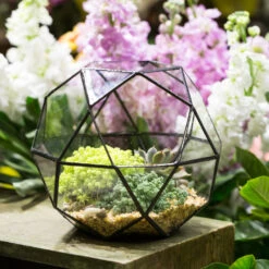 Handmade Triangular Pentagon Mix 32-Sides Clear Glass Geometric Centerpiece Terrarium For Succulents 14 Handmade Triangular Pentagon Mix 32-Sides Clear Glass Geometric Centerpiece Terrarium For Succulents -Ncyp Garden Store product image 594319620