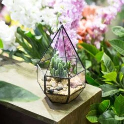 Handmade Hanging Six-surface With 3 Spaced Opening Glass Geometric Terrarium For Succulent Cacti -Ncyp Garden Store product image 598245039