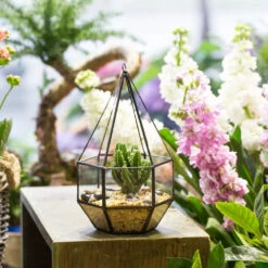 Handmade Hanging Six-surface With 3 Spaced Opening Glass Geometric Terrarium For Succulent Cacti -Ncyp Garden Store product image 598245040