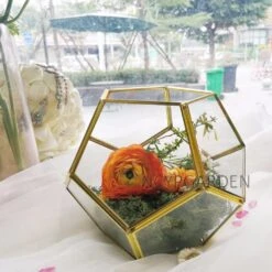 Handmade Gold Tabletop Polyhedron Glass Geometric Terrarium For Wedding Section Reception 22 Handmade Gold Tabletop Polyhedron Glass Geometric Terrarium For Wedding Section Reception -Ncyp Garden Store product image 600901077