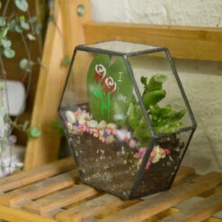 Handmade HoneycombThin Glass Geometric Terrarium For Succulents Moss 19 Handmade HoneycombThin Glass Geometric Terrarium For Succulents Moss -Ncyp Garden Store product image 605957785