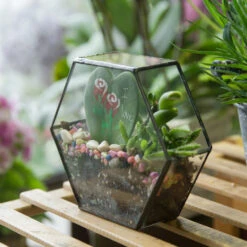 Handmade HoneycombThin Glass Geometric Terrarium For Succulents Moss 14 Handmade HoneycombThin Glass Geometric Terrarium For Succulents Moss -Ncyp Garden Store product image 605957798