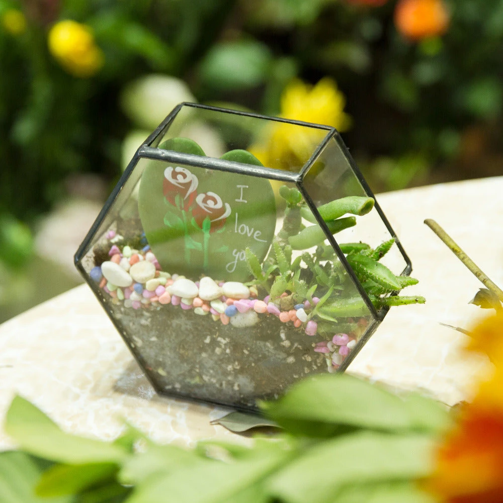Handmade HoneycombThin Glass Geometric Terrarium For Succulents Moss 8 Handmade HoneycombThin Glass Geometric Terrarium For Succulents Moss - Image 6