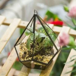 Handmade Small Teardrop Hanging Clear Glass Geometric Terrarium For Succulent Fern Airplants 23 Handmade Small Teardrop Hanging Clear Glass Geometric Terrarium For Succulent Fern Airplants -Ncyp Garden Store product image 639286725