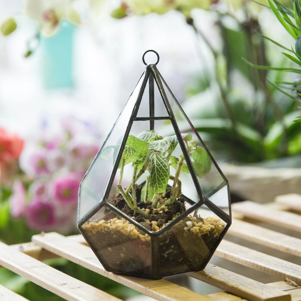 Handmade Small Teardrop Hanging Clear Glass Geometric Terrarium For Succulent Fern Airplants 3 Handmade Small Teardrop Hanging Clear Glass Geometric Terrarium For Succulent Fern Airplants