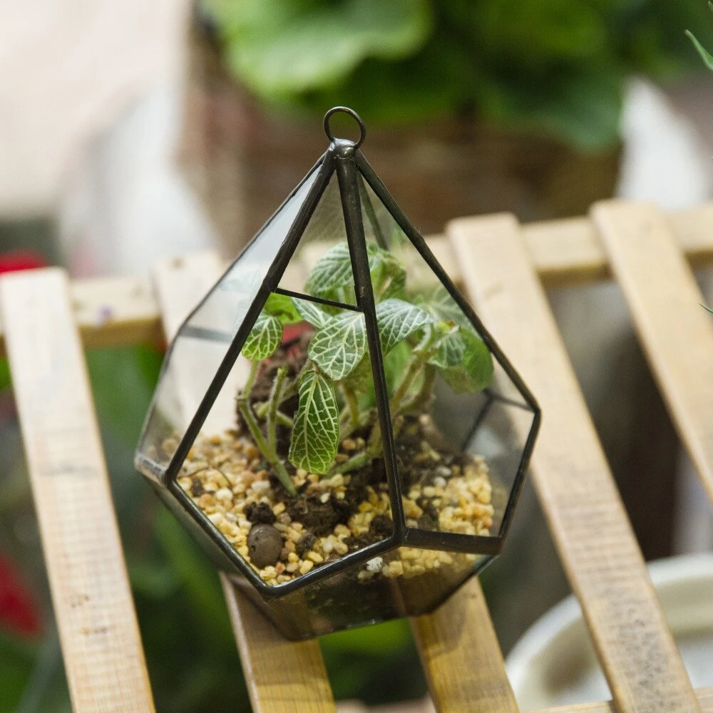 Handmade Small Teardrop Hanging Clear Glass Geometric Terrarium For Succulent Fern Airplants 13 Handmade Small Teardrop Hanging Clear Glass Geometric Terrarium For Succulent Fern Airplants - Image 11