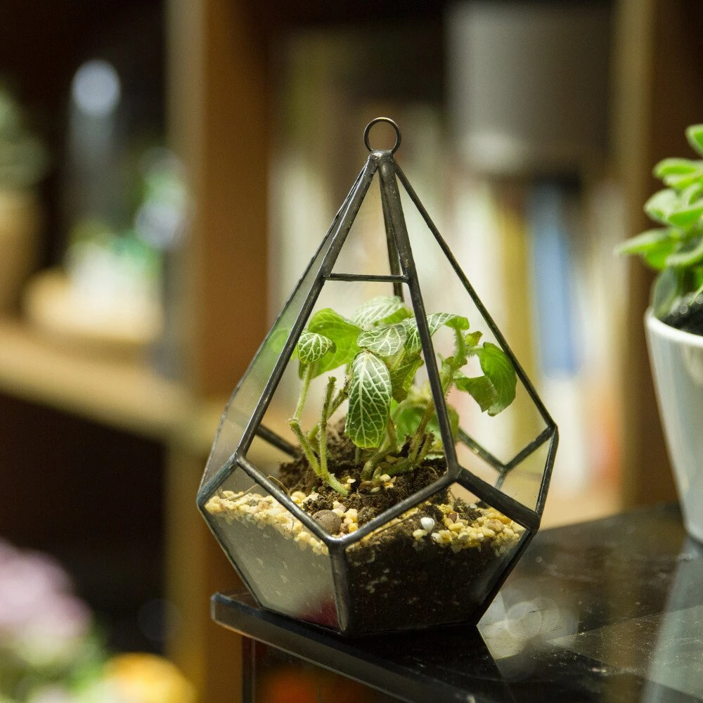 Handmade Small Teardrop Hanging Clear Glass Geometric Terrarium For Succulent Fern Airplants 14 Handmade Small Teardrop Hanging Clear Glass Geometric Terrarium For Succulent Fern Airplants - Image 12