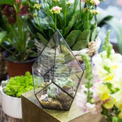 Handmade Black Artistic Four-surfaces Glass Geometric Terrarium For Succulents Airplants Moss -Ncyp Garden Store product image 639924226