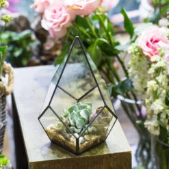 Handmade Black Artistic Four-surfaces Glass Geometric Terrarium For Succulents Airplants Moss -Ncyp Garden Store product image 639924227