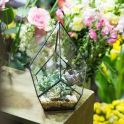 Handmade Black Artistic Four-surfaces Glass Geometric Terrarium For Succulents Airplants Moss -Ncyp Garden Store product image 639924228