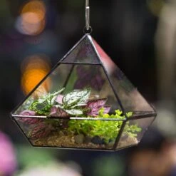 Handmade Black Vertebral Hanging Geometric Glass Terrarium For Succulent Fern Moss 27 Handmade Black Vertebral Hanging Geometric Glass Terrarium For Succulent Fern Moss -Ncyp Garden Store product image 679267977