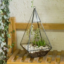 Handmade Glass Geometric Terrarium Indoor Outdoor Planter Landscape Wall Pyramid For Succulents 20 Handmade Glass Geometric Terrarium Indoor Outdoor Planter Landscape Wall Pyramid For Succulents -Ncyp Garden Store product image 681089936