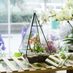 Handmade Glass Geometric Terrarium Indoor Outdoor Planter Landscape Wall Pyramid For Succulents 21 Handmade Glass Geometric Terrarium Indoor Outdoor Planter Landscape Wall Pyramid For Succulents -Ncyp Garden Store product image 681089942