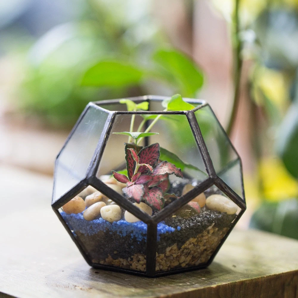 Handmade Mini Black Pentagon Glass Geometric Terrarium For Ring Box Moss 11 Handmade Mini Black Pentagon Glass Geometric Terrarium For Ring Box Moss - Image 9