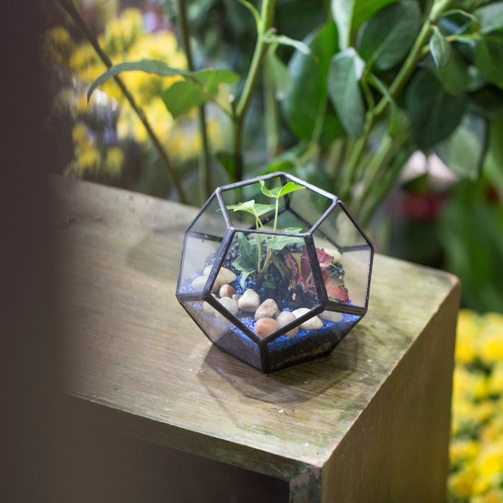 Handmade Mini Black Pentagon Glass Geometric Terrarium For Ring Box Moss 12 Handmade Mini Black Pentagon Glass Geometric Terrarium For Ring Box Moss - Image 10
