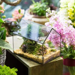 Handmade House Shape Open On The Side Glass Geometric Terrarium For Fern Moss Succulents Airplants -Ncyp Garden Store product image 700447776