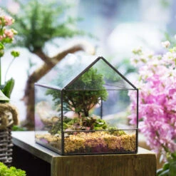 Handmade House Shape Open On The Side Glass Geometric Terrarium For Fern Moss Succulents Airplants -Ncyp Garden Store product image 700447778