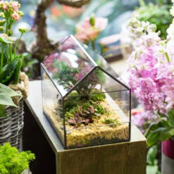 Handmade House Shape Open On The Side Glass Geometric Terrarium For Fern Moss Succulents Airplants -Ncyp Garden Store product image 700447780