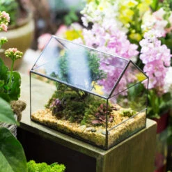Handmade House Shape Open On The Side Glass Geometric Terrarium For Fern Moss Succulents Airplants -Ncyp Garden Store product image 700447782
