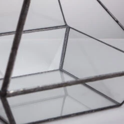 Handmade Black Vertebral Hanging Geometric Glass Terrarium For Succulent Fern Moss 24 Handmade Black Vertebral Hanging Geometric Glass Terrarium For Succulent Fern Moss -Ncyp Garden Store product image 715714510