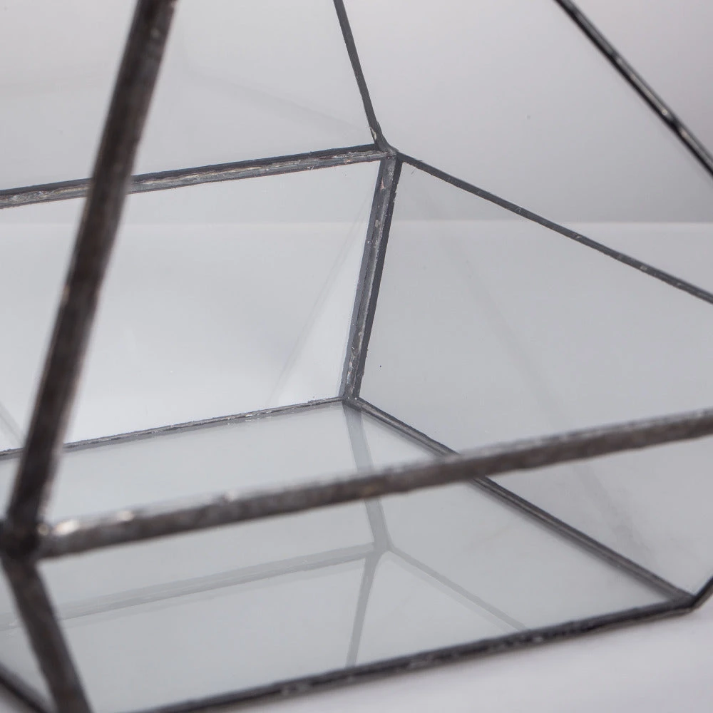 Handmade Black Vertebral Hanging Geometric Glass Terrarium For Succulent Fern Moss 11 Handmade Black Vertebral Hanging Geometric Glass Terrarium For Succulent Fern Moss - Image 9