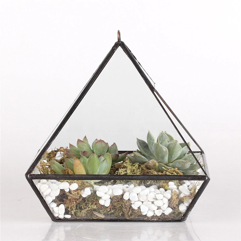 Handmade Black Vertebral Hanging Geometric Glass Terrarium For Succulent Fern Moss 13 Handmade Black Vertebral Hanging Geometric Glass Terrarium For Succulent Fern Moss - Image 11
