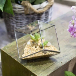 Handmade 3.93" / 10cm Silver Square Inclined Cube Glass Geometric Terrarium For Succulent Airplants 16 Handmade 3.93" / 10cm Silver Square Inclined Cube Glass Geometric Terrarium For Succulent Airplants -Ncyp Garden Store product image 729012701