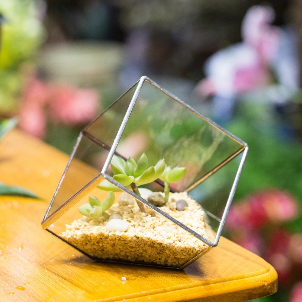 Handmade 3.93" / 10cm Silver Square Inclined Cube Glass Geometric Terrarium For Succulent Airplants 5 Handmade 3.93" / 10cm Silver Square Inclined Cube Glass Geometric Terrarium For Succulent Airplants - Image 3
