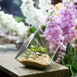 Handmade 3.93" / 10cm Silver Square Inclined Cube Glass Geometric Terrarium For Succulent Airplants 17 Handmade 3.93" / 10cm Silver Square Inclined Cube Glass Geometric Terrarium For Succulent Airplants -Ncyp Garden Store product image 729012716