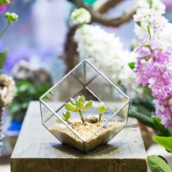 Handmade 3.93" / 10cm Silver Square Inclined Cube Glass Geometric Terrarium For Succulent Airplants 21 Handmade 3.93" / 10cm Silver Square Inclined Cube Glass Geometric Terrarium For Succulent Airplants -Ncyp Garden Store product image 729012718
