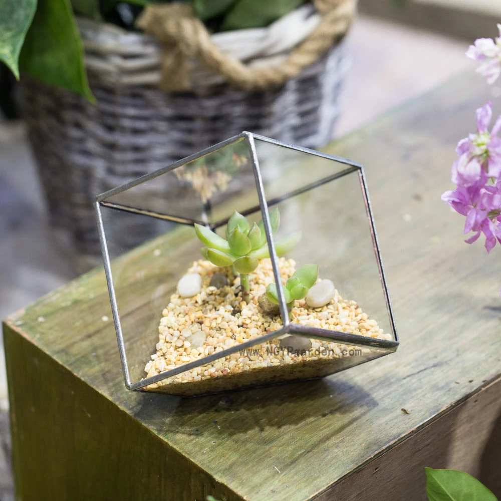 Handmade 3.93" / 10cm Silver Square Inclined Cube Glass Geometric Terrarium For Succulent Airplants 8 Handmade 3.93" / 10cm Silver Square Inclined Cube Glass Geometric Terrarium For Succulent Airplants - Image 6