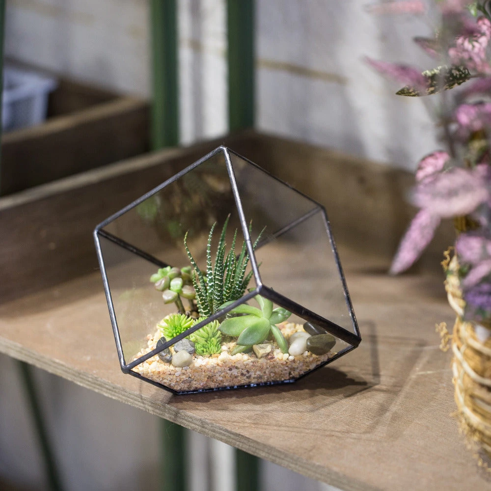 Handmade 10cm Inclined Cube Vase Glass Geometric Terrarium Tabletop Flowerpot For Garden Succulents 7 Handmade 10cm Inclined Cube Vase Glass Geometric Terrarium Tabletop Flowerpot For Garden Succulents - Image 5