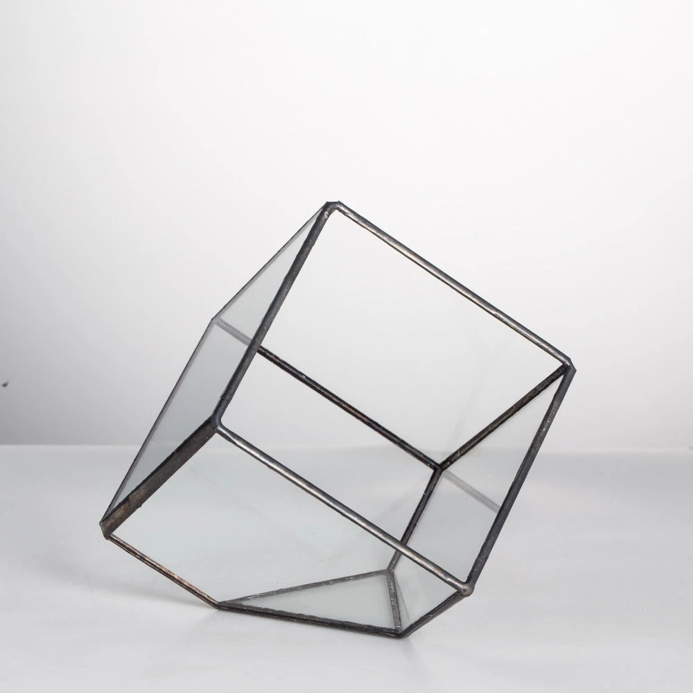 Handmade 10cm Inclined Cube Vase Glass Geometric Terrarium Tabletop Flowerpot For Garden Succulents 3 Handmade 10cm Inclined Cube Vase Glass Geometric Terrarium Tabletop Flowerpot For Garden Succulents