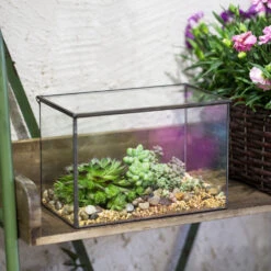Handmade Rectangle Glass Geometric Terrarium With Lid For Succulents Moss Fern -Ncyp Garden Store product image 739086385