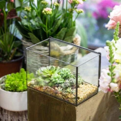 Handmade Rectangle Glass Geometric Terrarium With Lid For Succulents Moss Fern -Ncyp Garden Store product image 739086387