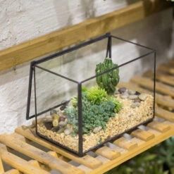 Handmade Rectangle Glass Geometric Terrarium With Lid For Succulents Moss Fern -Ncyp Garden Store product image 739086388