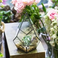 Handmade Black Artistic Four-surfaces Glass Geometric Terrarium For Succulents Airplants Moss -Ncyp Garden Store product image 822271928