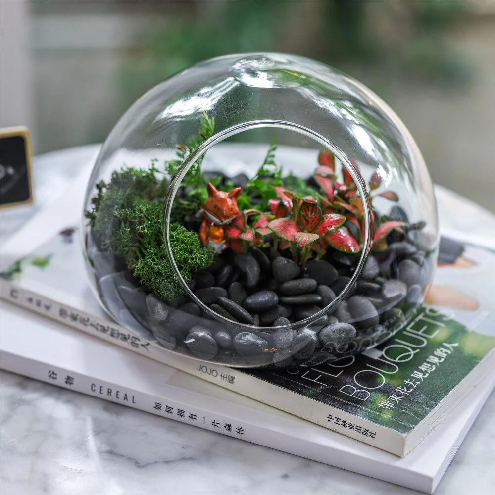 Hand Blown Glass Bubble Shape Globe Terrarium For Miniature Micro Landscape Airplants Moss 3 Hand Blown Glass Bubble Shape Globe Terrarium For Miniature Micro Landscape Airplants Moss