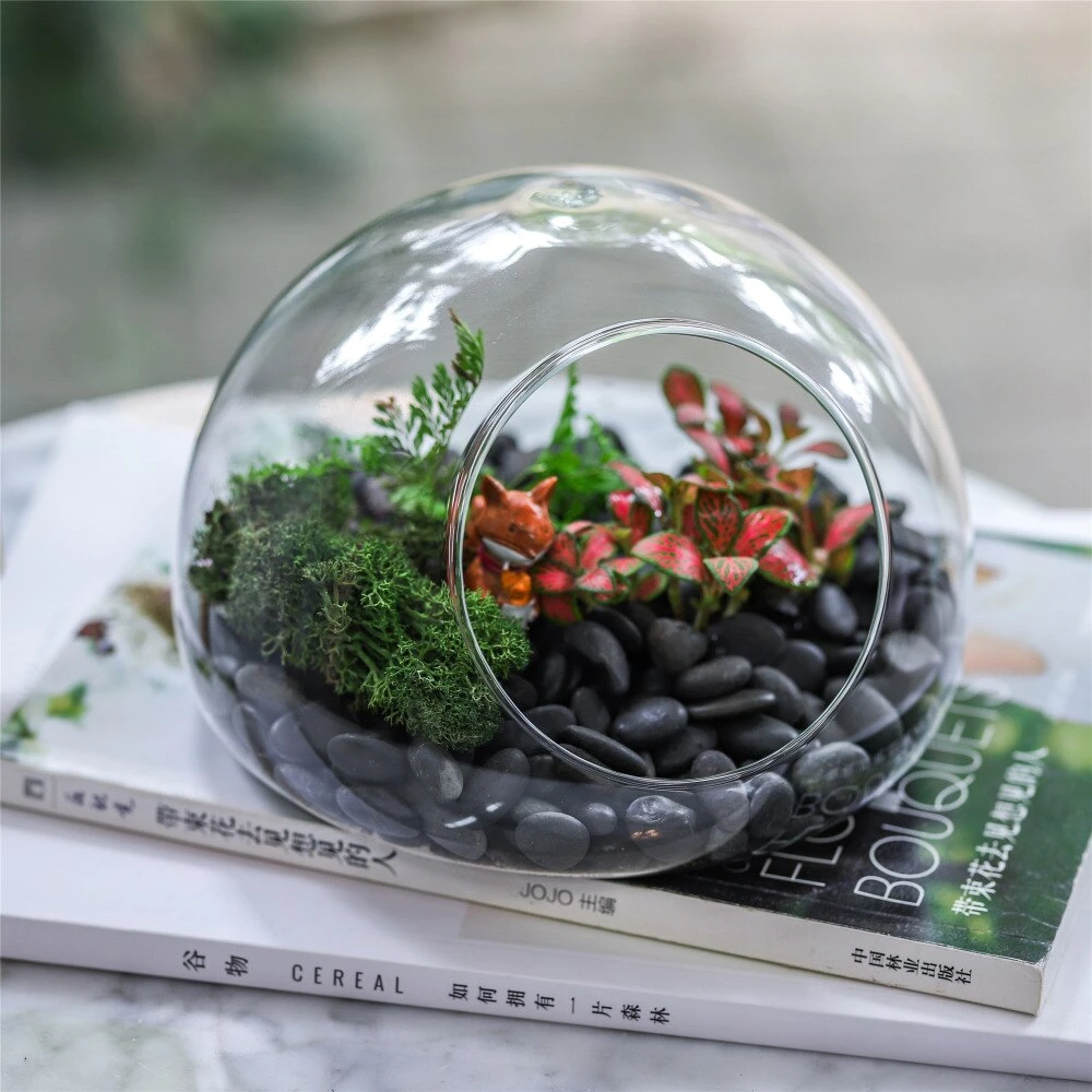 Hand Blown Glass Bubble Shape Globe Terrarium For Miniature Micro Landscape Airplants Moss 14 Hand Blown Glass Bubble Shape Globe Terrarium For Miniature Micro Landscape Airplants Moss - Image 12