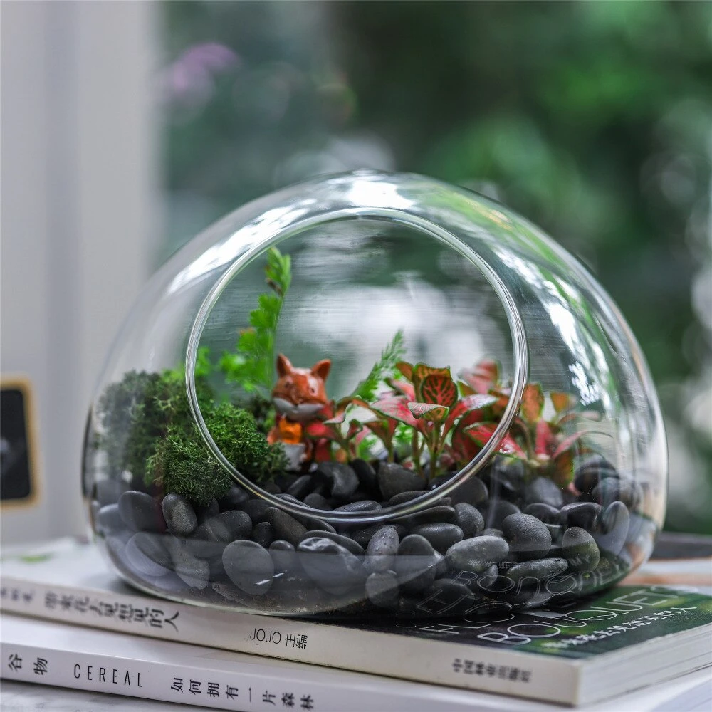 Hand Blown Glass Bubble Shape Globe Terrarium For Miniature Micro Landscape Airplants Moss 8 Hand Blown Glass Bubble Shape Globe Terrarium For Miniature Micro Landscape Airplants Moss - Image 6