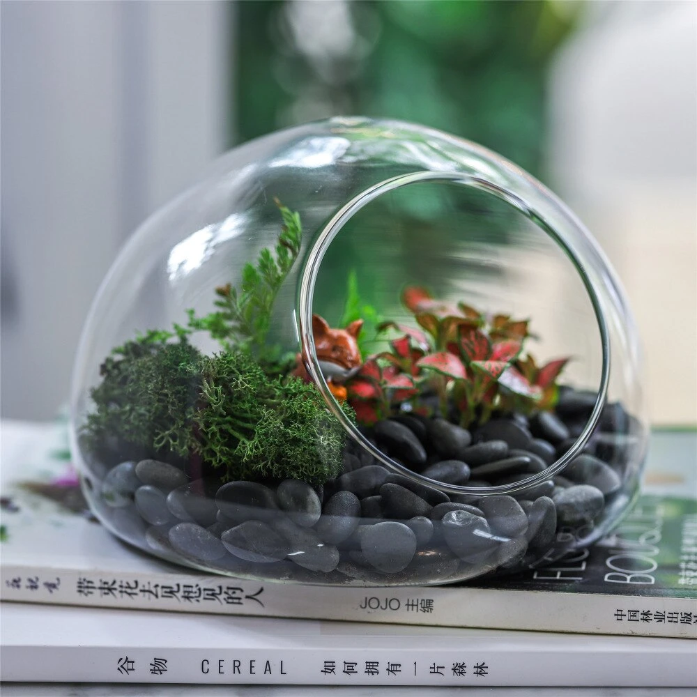 Hand Blown Glass Bubble Shape Globe Terrarium For Miniature Micro Landscape Airplants Moss 11 Hand Blown Glass Bubble Shape Globe Terrarium For Miniature Micro Landscape Airplants Moss - Image 9