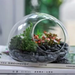 Hand Blown Glass Bubble Shape Globe Terrarium For Miniature Micro Landscape Airplants Moss 25 Hand Blown Glass Bubble Shape Globe Terrarium For Miniature Micro Landscape Airplants Moss -Ncyp Garden Store product image 822513995