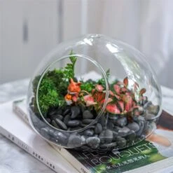 Hand Blown Glass Bubble Shape Globe Terrarium For Miniature Micro Landscape Airplants Moss 27 Hand Blown Glass Bubble Shape Globe Terrarium For Miniature Micro Landscape Airplants Moss -Ncyp Garden Store product image 822513997